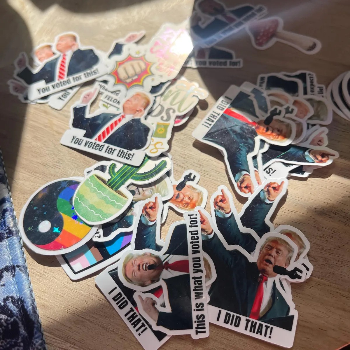 I Did That Anti Trump Funny Sticker